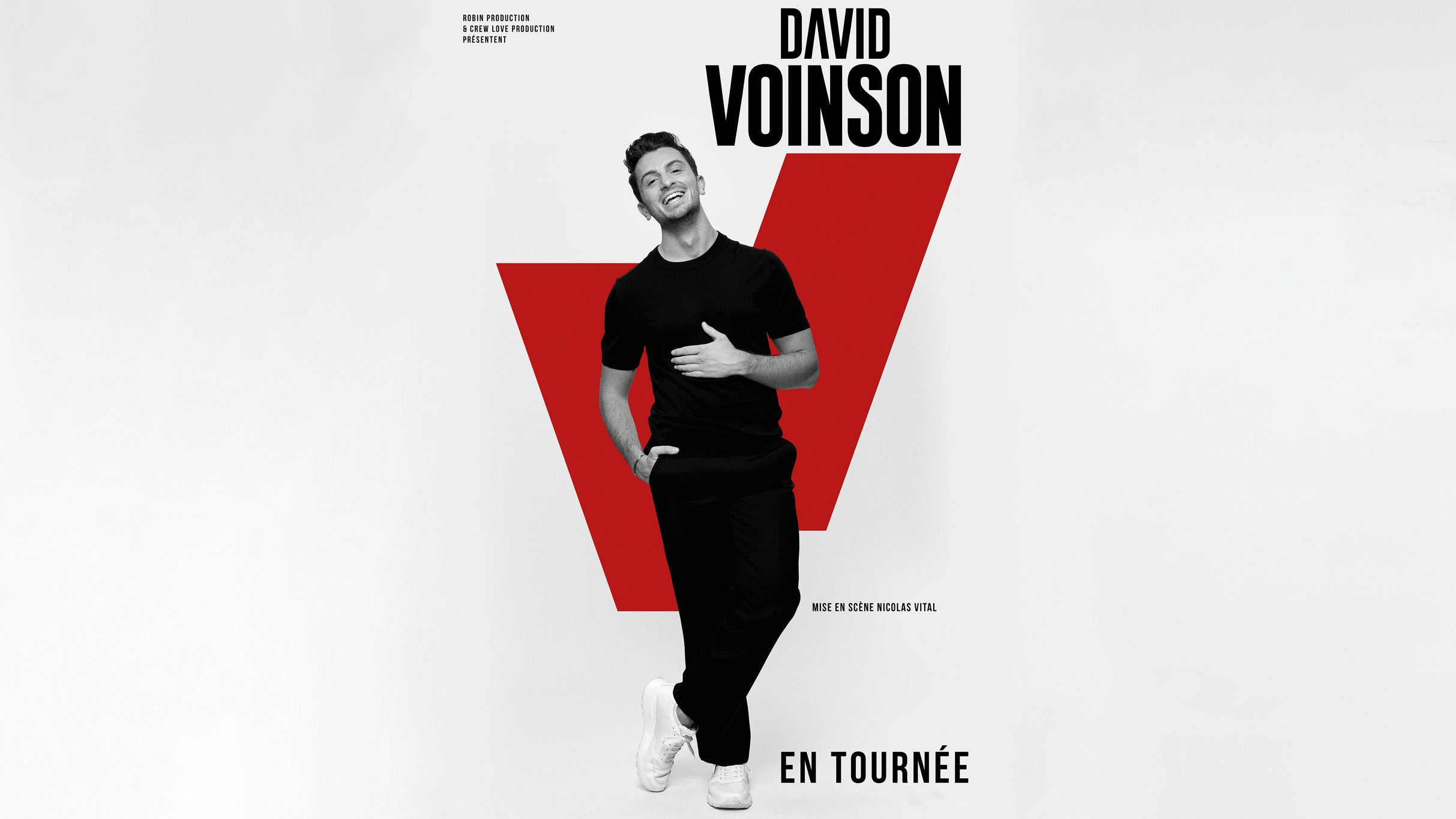 David Voinson Live: Comedy Sensation Electrifies Cirque Royal!
