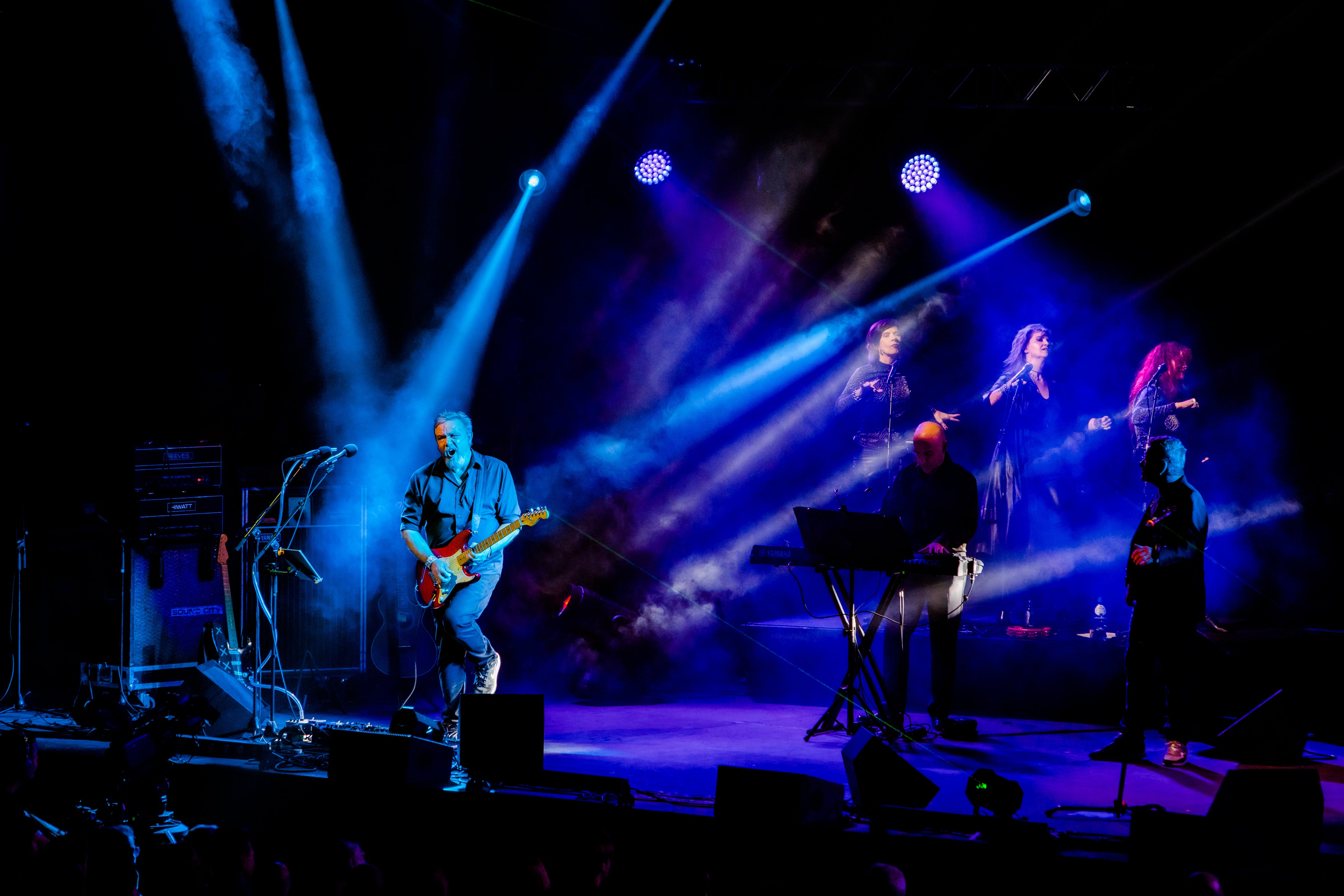 Experience Pink Project Live: A Night of Electrifying Music in Haarlem!